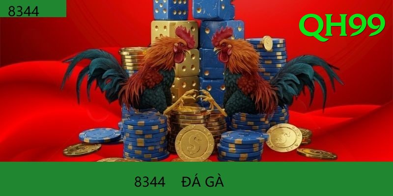 Đá Gà Trực Tiếp - qh99 - Thông báo